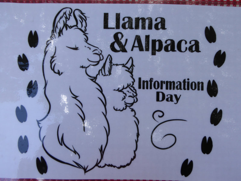 stillwater minerals llama alpaca